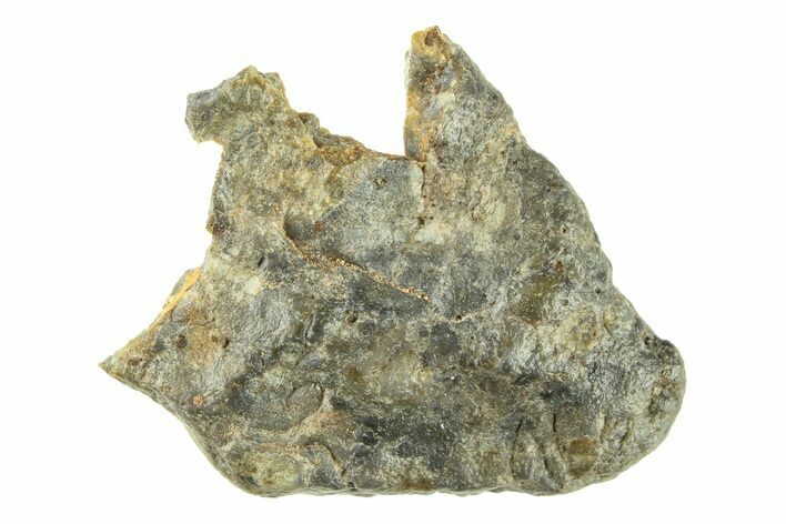 Lunar Meteorite ( g) - Laayoune #281561